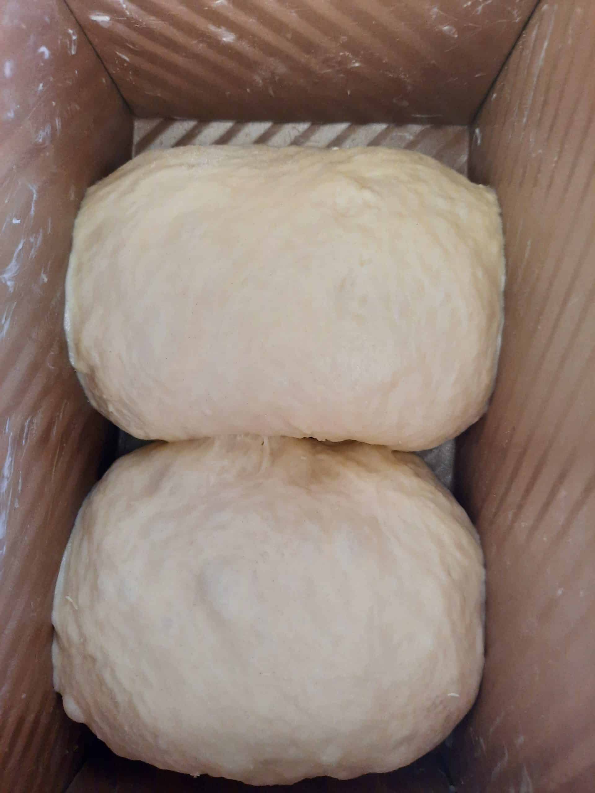 放入整形完成的麵團（每模放 2 個）入模完成後，將麵團室溫靜置進行最後發酵。Put the shaped original dough (2 pieces per mold) into the mold, let the dough stand at room temperature for final fermentation.